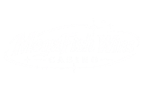 megafishwins casino logo
